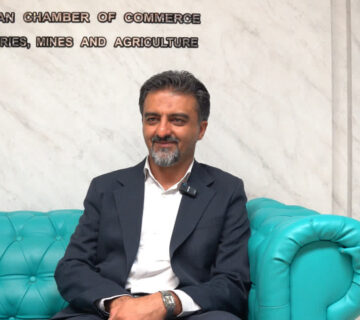 پلتفرم فن نما